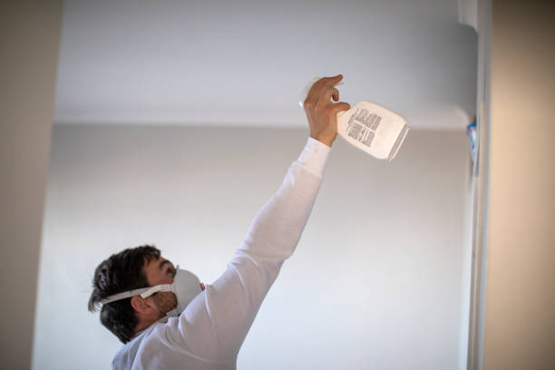 Professional Mold Removal in Massanetta Springs, VA