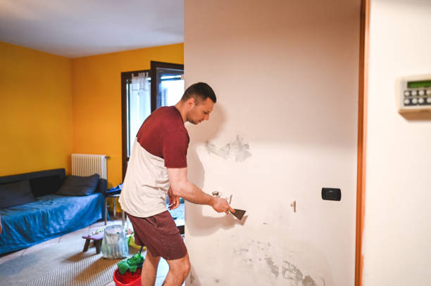 Best Best Mold Removal Companies  in Massanetta Springs, VA